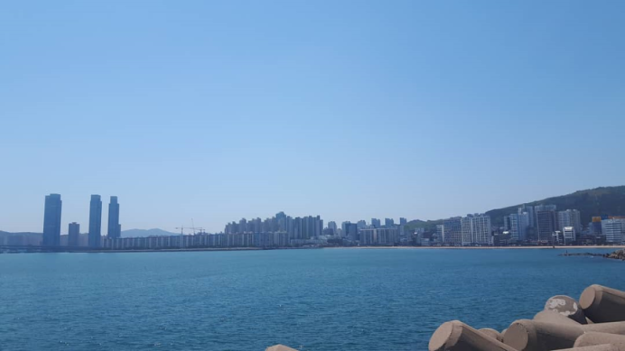 수 정1